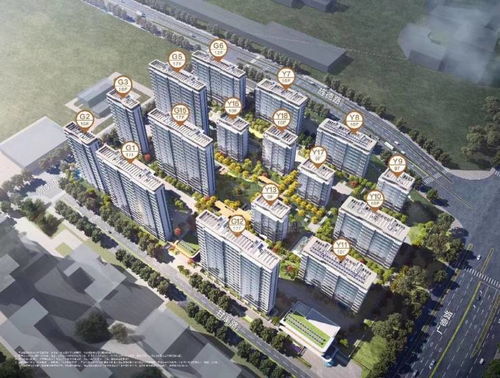 合肥瑤海區四川邦泰東方雅頌周邊地段怎么樣