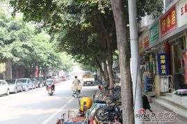 紅星國際圖片 四川房產