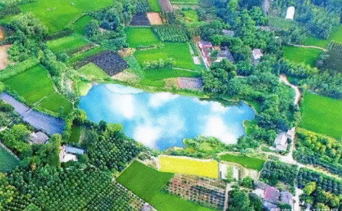 23億負(fù)債壓頂，22年老牌房企申請(qǐng)破產(chǎn)！阜陽(yáng)房企承壓，四川地產(chǎn)亦現(xiàn)隱憂